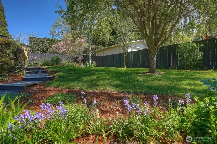 Yard & Beds are Mature & Easy Care...