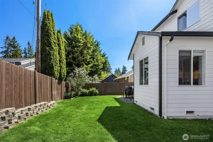 Backyard