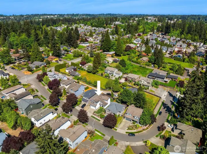 Aerial Shot