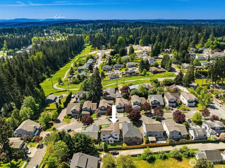 Aerial Shot