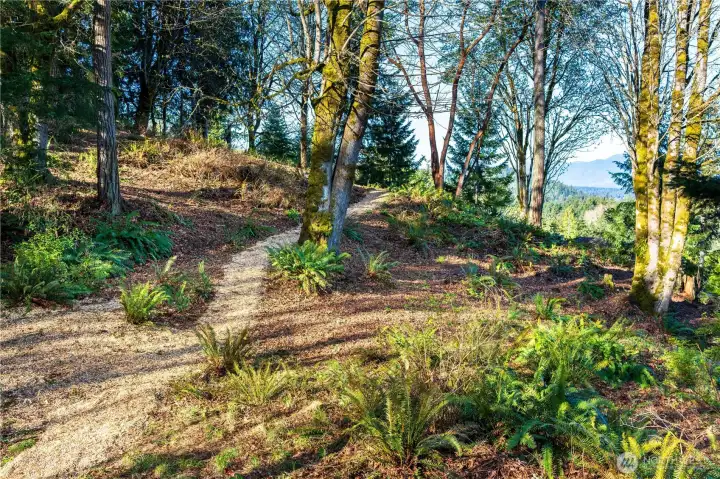 Path up to the best view