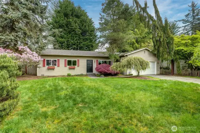 Big Front Yard w/ Building Extension or DADU Potential