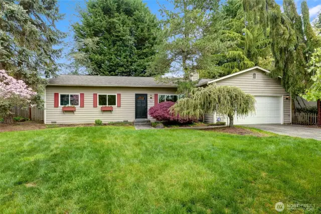 Big Front Yard w/ Building Extension or DADU Potential