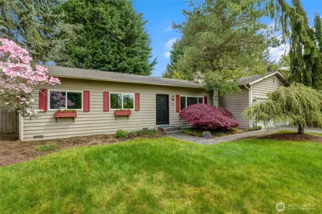 Inviting Curb Appeal