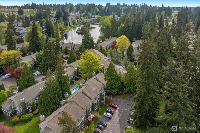 Aerial view of Village at the lake