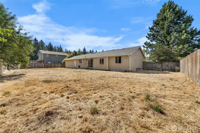 Large backyard