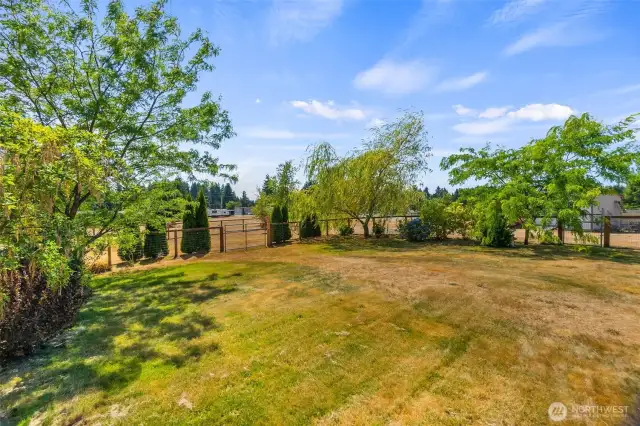 Fully fenced front yard, with sprinkler system and beautiful trees.
