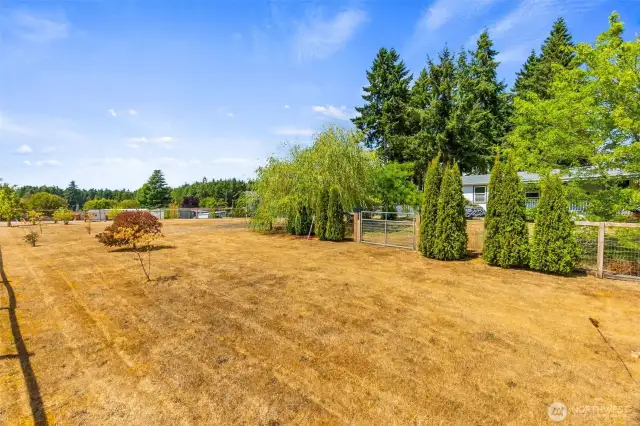 View of the exterior gated portion of the lot. It may be brown now, but it is a gorgeous lot!