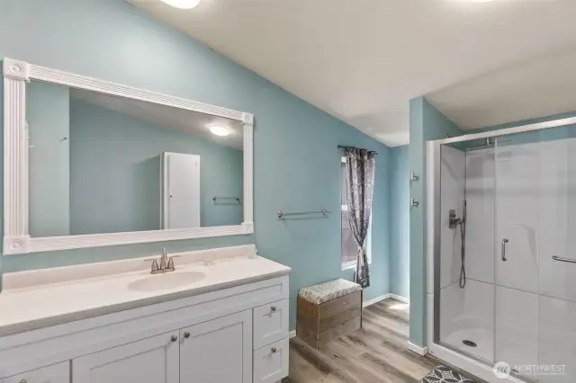 Primary bathroom, with LVP flooring.