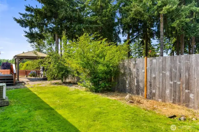 Back yard.