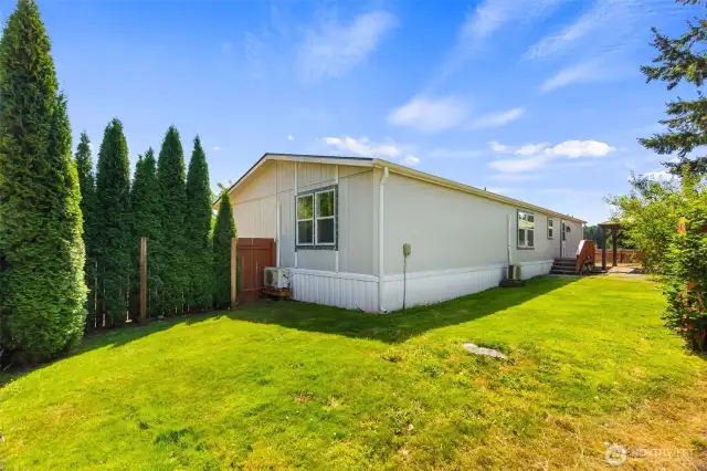Back yard.