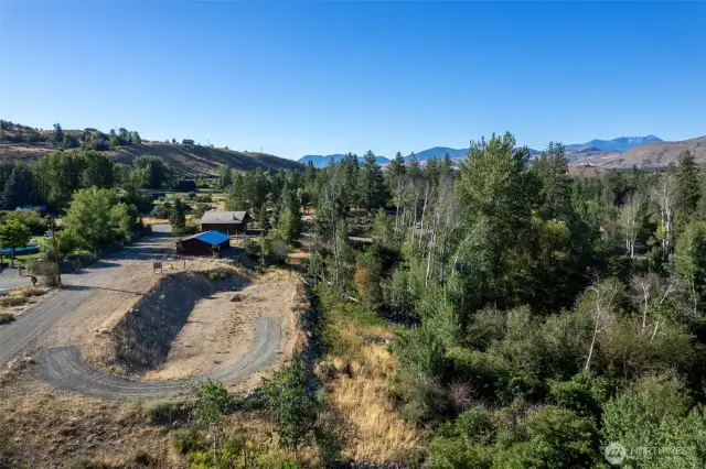 Natural mix of sun and shade across the property.