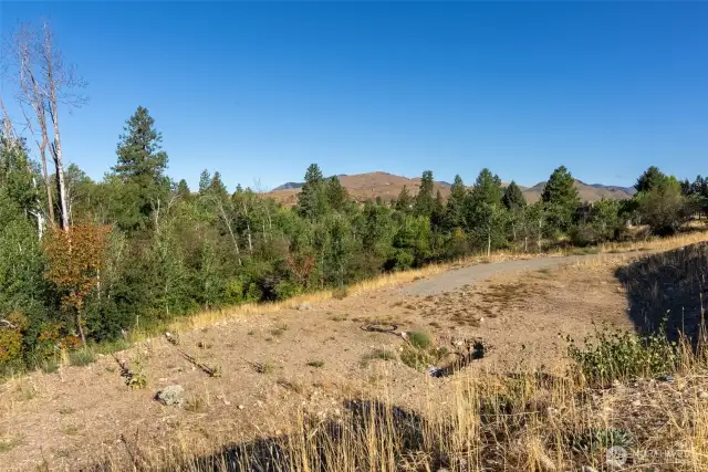 Gorgeous golden fall foliage—your own retreat in the Valley.