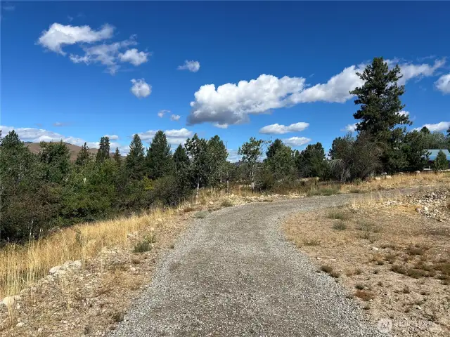 Natural privacy buffer with treed property edges.