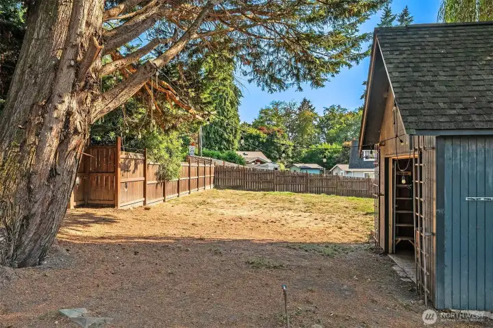 Back yard is big -- great for games or gardens.