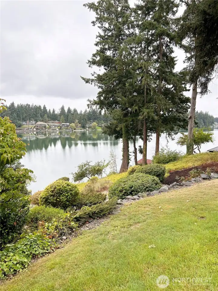 Mature, manicured landscaped lot