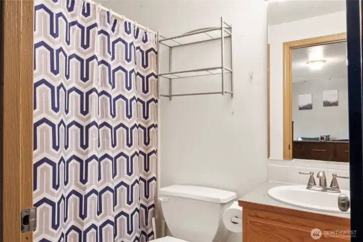 Full primary bathroom