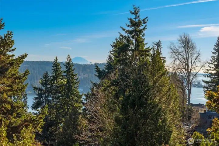 A filtered view of Lake Washington and even a surprise view of Mt. Rainier can be seen from multiple rooms.