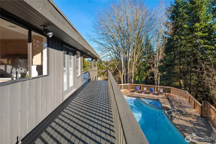 And it just keeps on going! The kitchen window is off to the left.