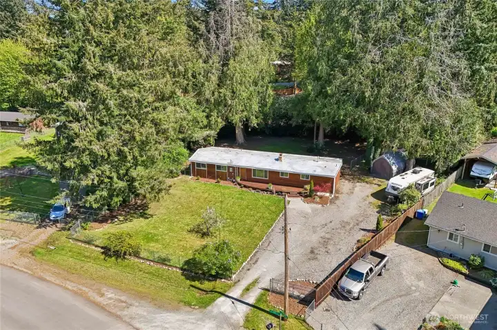Private setting surrounded by tall evergreens.