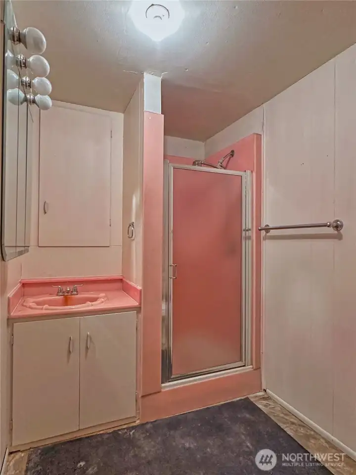 3/4 bathroom on lower level