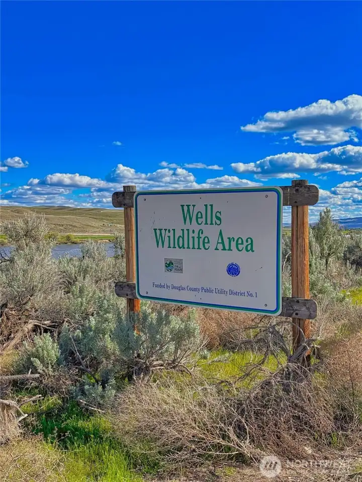 Adjacent Wells Wildlife Area supports a diverse range of wildlife, including otters, waterfowl, upland birds, eagles, and deer, making it a vital ecological zone and you can enjoy walking, hiking and wildlife observation