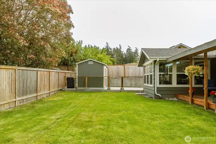 Back yard