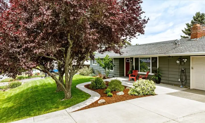 Wide driveway that can accommodate 4 cars, side gate to the right of the garage to access the back paved area and shed