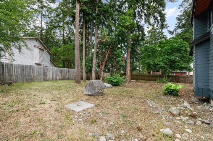 Large Yard