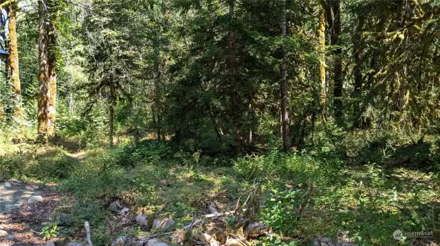 Trail leads to open space behind cabin