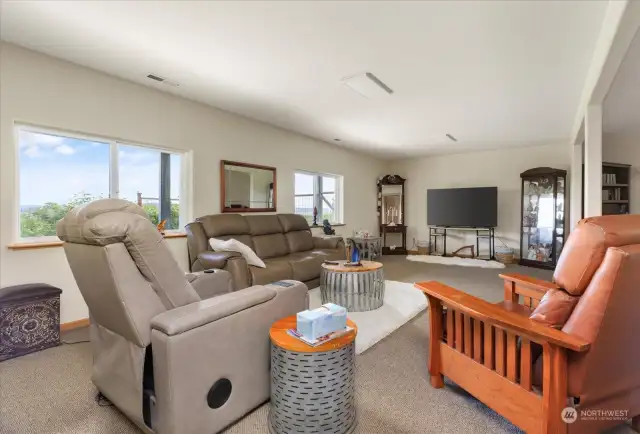 Spacious Lower Level Living Room
