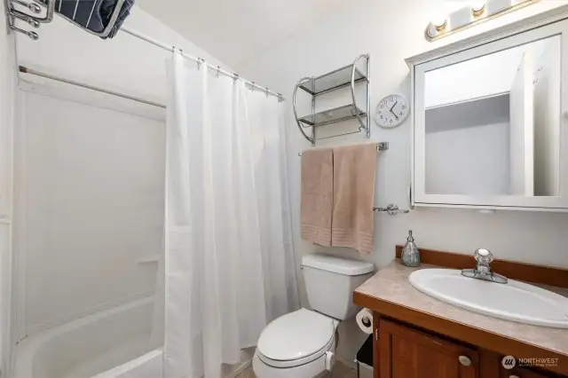 Hall bathroom