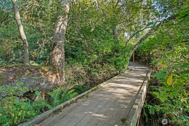 Trail to beach stairs