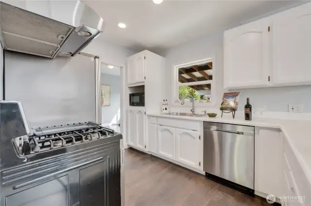 Stainless steel Gas Oven & Range