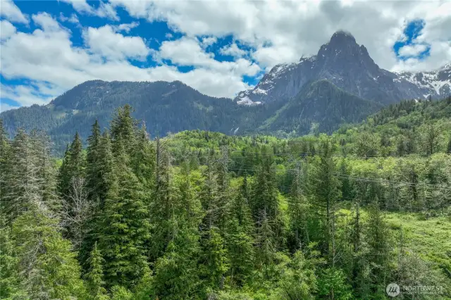 Come home to river, forest and mountain views!