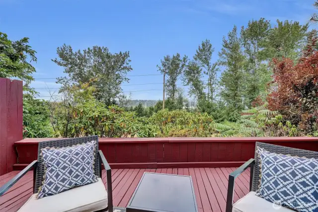 Large deck downstairs