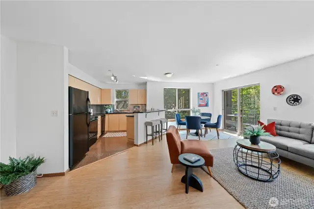 Living and Kitchen