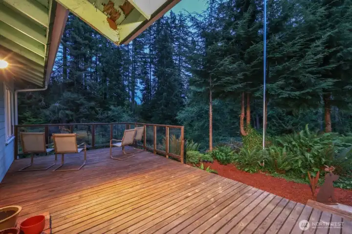 Another view of the expansive front deck.