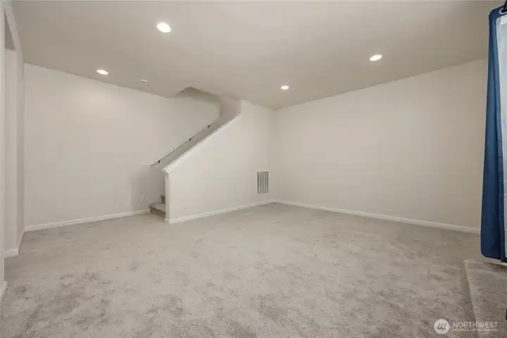 You can really see there is a lot of space here in this lower level bonus room.