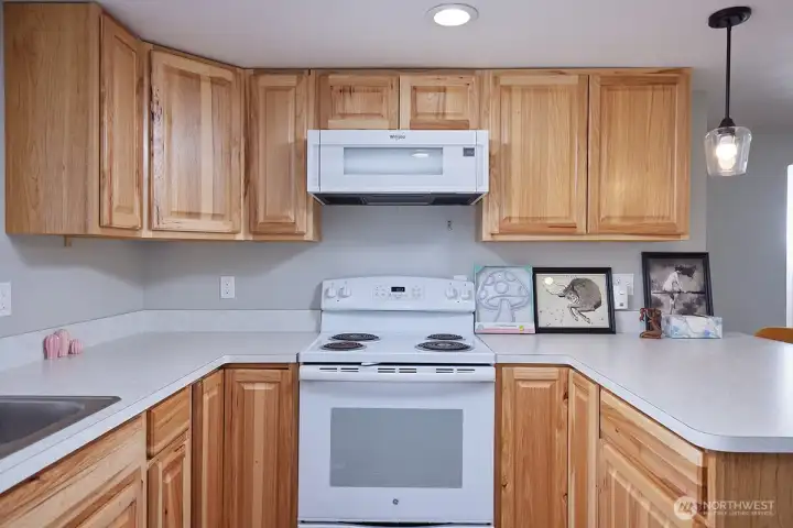 Downstairs Unit Kitchen