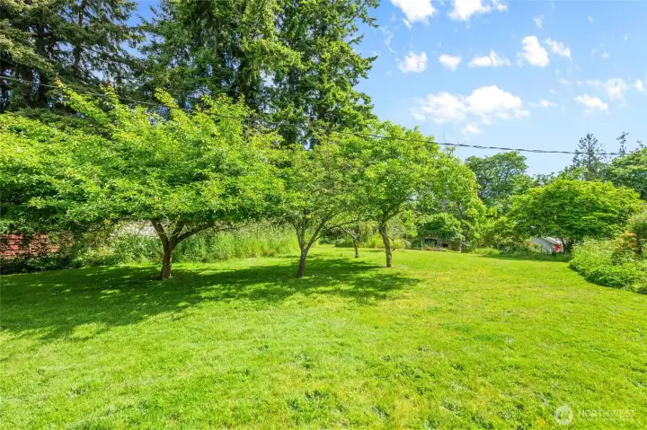 This property even has an orchard! Fruit trees in two areas of the property.