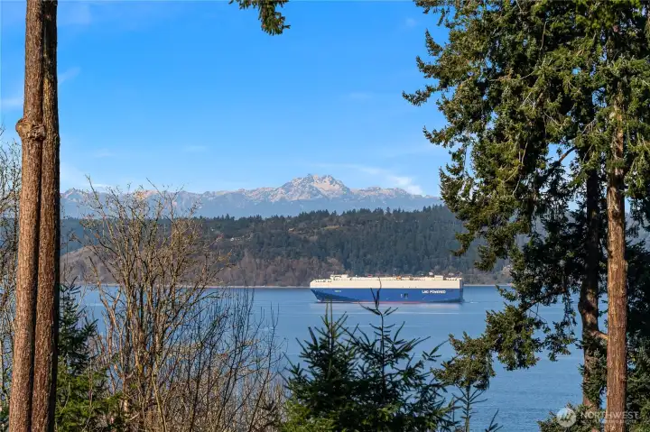 The Olympic Mountain range forms the background for a variety of maritime traffic including ships that travel the world.  Want to know about this ship - well, there is an app for that!