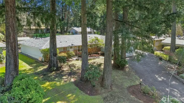 Mature Landscaping Provides Tranquil Setting