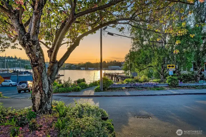 Directly across the street you will find the sweetest park with kayak, SUP water access.