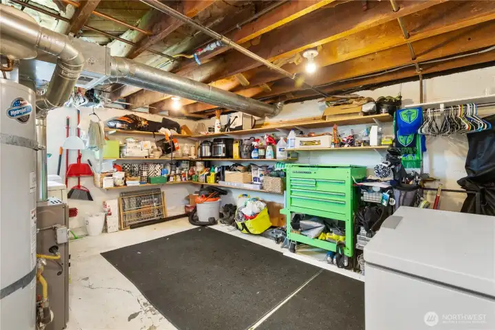 More storage space in this light and bright basement area.