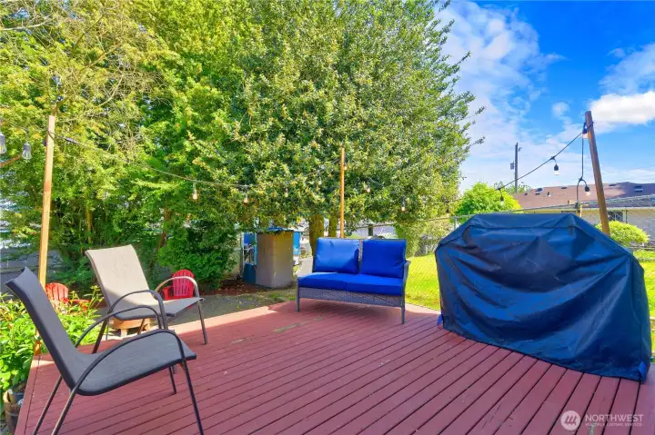 You can do plenty of summer grilling and entertaining out here.