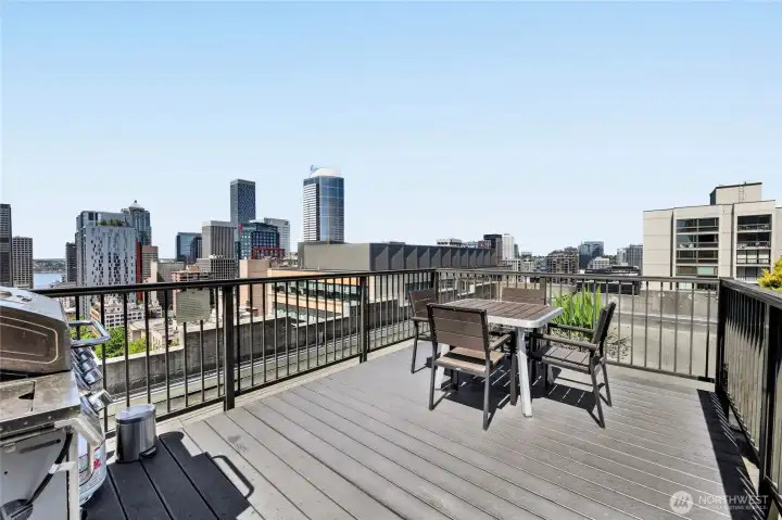 What an incredible space to BBQ, relax, and entertain.