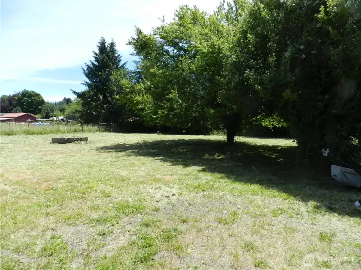 FRONT YARD FRONT YARD