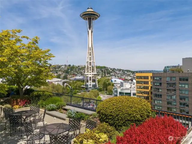 Great vantage point for fireworks at the Needle!