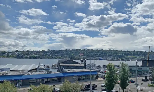 Always something interesting to see from the bustling maritime activities to happy bicyclists on the Westlake Bikeway to the numerous houseboat communities